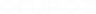 Grupo Z