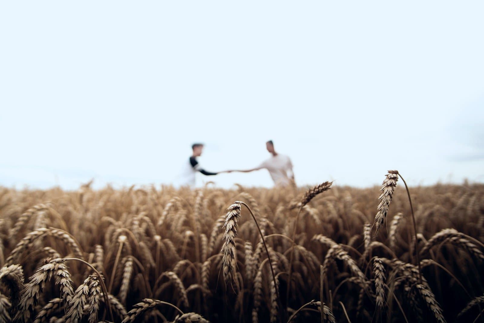 Ambiente de trabalho do segmento Agronegócio